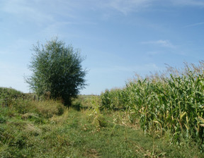 Działka na sprzedaż, Wałbrzyski Stare Bogaczowice, 79 000 zł, 1000 m2, 58/14328/OGS