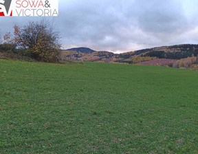 Działka na sprzedaż, Wałbrzyski Stare Bogaczowice Lubomin, 170 000 zł, 2000 m2, 601/14328/OGS