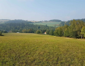 Działka na sprzedaż, Karkonoski Jeżów Sudecki Janówek, 500 000 zł, 63 400 m2, 254/14328/OGS