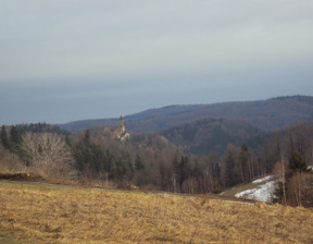 Dom na sprzedaż, Wałbrzyski Walim Niedźwiedzica, 350 000 zł, 500 m2, 63/14328/ODS