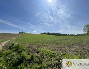 Działka na sprzedaż, Gdański Trąbki Wielkie Zła Wieś, 240 000 zł, 2138 m2, 364/8402/OGS