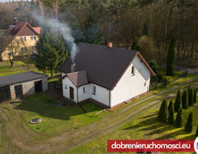 Dom na sprzedaż, Skłudzewo, 485 000 zł, 100 m2, 61026