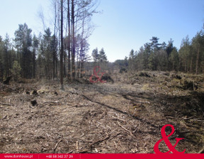 Leśne na sprzedaż, Kartuski Sulęczyno Borek Kamienny, 217 000 zł, 3100 m2, DH492784