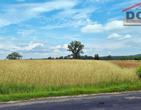 Działka na sprzedaż, Drawski Kalisz Pomorski Stara Korytnica, 169 000 zł, 13 800 m2, 280525