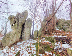 Działka na sprzedaż, Krakowski Jerzmanowice-Przeginia Łazy, 649 000 zł, 5799 m2, DNX-GS-27113-5