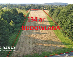 Działka na sprzedaż, Krakowski Skawina Jaśkowice, 1 100 000 zł, 13 400 m2, DNX-GS-28781-11