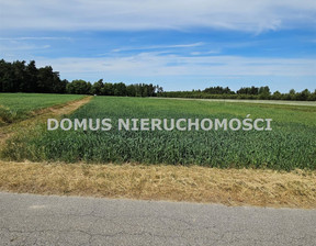 Rolny na sprzedaż, Brzeziński Dmosin Nowostawy Dolne, 200 000 zł, 12 000 m2, DMU-GS-567-15