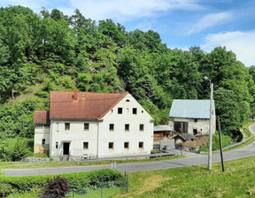 Dom na sprzedaż, Ząbkowicki (pow.) Złoty Stok (gm.) Złoty Stok Laski, 550 000 zł, 290 m2, 166420548