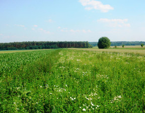 Rolny na sprzedaż, Kalisz, 190 000 zł, 9900 m2, 232