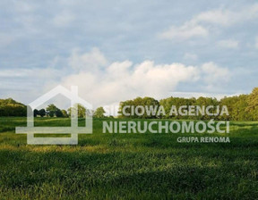 Rolny na sprzedaż, Lęborski Nowa Wieś Lęborska Wilkowo Nowowiejskie, 375 690 zł, 12 523 m2, DJ249611