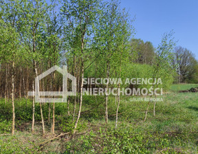 Rolny na sprzedaż, Kościerski Nowa Karczma Stary Barkoczyn, 180 000 zł, 3134 m2, DJ821236