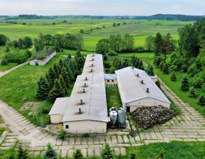 Fabryka, zakład na sprzedaż, Olecki Olecko Dąbrowskie-Osada, 1 500 000 zł, 1385 m2, DPO-BS-7159