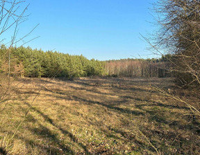 Działka na sprzedaż, Górowski (Pow.) Jemielno (Gm.) Czeladź Mała, 50 000 zł, 1373 m2, 88-1