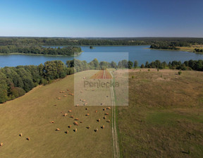 Działka na sprzedaż, Ostródzki Łukta Ramoty, 9 000 000 zł, 161 025 m2, 171/4043/OGS