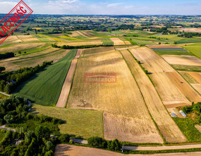 Rolny na sprzedaż, Proszowicki Nowe Brzesko Grębocin, 660 000 zł, 40 000 m2, 3147/6342/OGS