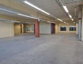 Magazyn, hala do wynajęcia, Poznań Grunwald Kopanina, 8510 zł, 370 m2, 89