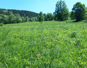 Działka na sprzedaż, Suski Zawoja, 260 000 zł, 2600 m2, GS-12807