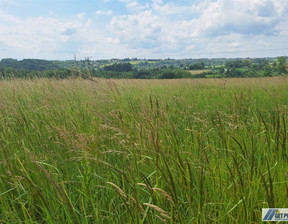 Handlowo-usługowy na sprzedaż, Krakowski Wielka Wieś, 990 000 zł, 17 000 m2, GS-13000-18