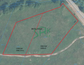 Leśne do wynajęcia, Bieruńsko-Lędziński Bojszowy Międzyrzecze, 4120 zł, 8076,15 m2, SRK-GW-2493