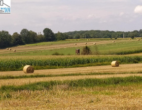 Działka na sprzedaż, Tarnogórski Zbrosławice, 260 000 zł, 1046 m2, 18103