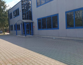 Magazyn, hala do wynajęcia, Pruszkowski (pow.) Nadarzyn (gm.), 36 500 zł, 1100 m2, 12293