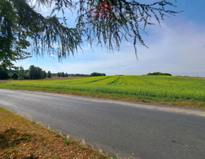 Rolny na sprzedaż, Iławski Iława Tynwałd, 400 000 zł, 32 300 m2, EXO-GS-8849