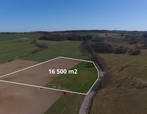 Działka na sprzedaż, Ostródzki Ostróda Pietrzwałd, 290 000 zł, 16 500 m2, EXP-GS-8776