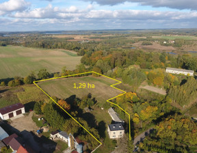 Dom na sprzedaż, Ostródzki Dąbrówno Wądzyn, 289 000 zł, 170 m2, EXP-DS-8848