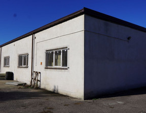 Fabryka, zakład na sprzedaż, Turecki (Pow.) Turek Milewskiego, 2 000 000 zł, 1370 m2, 615