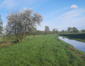 Rolny na sprzedaż, Wolsztyński (Pow.) Przemęt (Gm.) Borek, 2 100 000 zł, 205 480 m2, 6