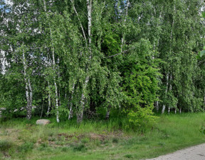 Działka na sprzedaż, Szamotulski (pow.) Pniewy (gm.) Zajączkowo, 550 000 zł, 14 500 m2, 3