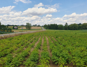 Działka na sprzedaż, Krakowski (pow.) Kocmyrzów-Luborzyca (gm.) Kocmyrzów, 245 000 zł, 1166 m2, 246585746343