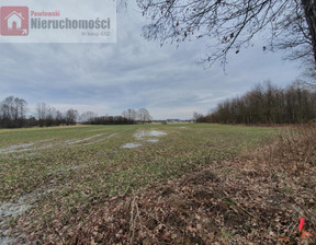 Działka na sprzedaż, Krakowski Skawina Wielkie Drogi, 160 000 zł, 3000 m2, 3786