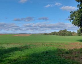 Rolny na sprzedaż, Gryfiński Stare Czarnowo Żelisławiec, 80 000 zł, 9800 m2, AVN22048