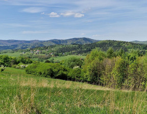 Działka na sprzedaż, Suski Zembrzyce Tarnawa Dolna Tarnawa Dolna, 190 000 zł, 3818 m2, 2558