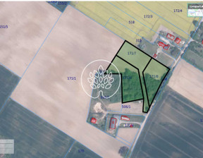 Budowlany na sprzedaż, Świecki Nowe Kozielec, 233 805 zł, 3597 m2, 386/14150/OGS