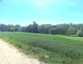 Działka na sprzedaż, Kościański Krzywiń Żelazno, 1 490 000 zł, 10 000 m2, 226