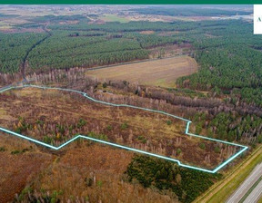 Handlowo-usługowy na sprzedaż, Zgorzelecki Pieńsk Strzelno, 9 750 000 zł, 98 100 m2, 13418