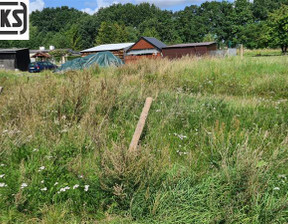 Handlowo-usługowy na sprzedaż, Słupsk Dębnica Kaszubska Motarzyno, 49 000 zł, 497 m2, WX0437