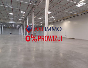 Magazyn do wynajęcia, Szczecin, 9124 euro (38 137 zł), 2433 m2, 9388