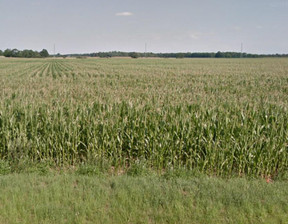 Działka na sprzedaż, Wrocławski Kobierzyce Tyniec Mały, 13 000 000 zł, 50 000 m2, 8717