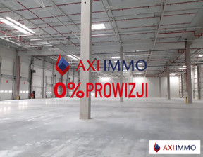 Magazyn do wynajęcia, Katowice, 7000 euro (29 960 zł), 1000 m2, 8227