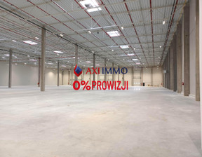 Magazyn do wynajęcia, Pabianicki Pabianice, 52 500 euro (226 800 zł), 15 000 m2, 8909