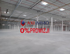 Magazyn do wynajęcia, Goleniowski Goleniów, 145 500 zł, 48 500 m2, 9035