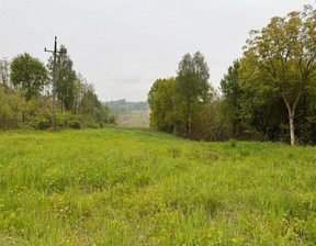 Rolny na sprzedaż, Krakowski Krzęcin, 299 000 zł, 7900 m2, 567213