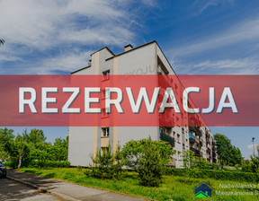 Kawalerka do wynajęcia, Bieruńsko-Lędziński Lędziny Pokoju , 788 zł, 22,5 m2, 220/11268/OMW