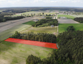 Działka na sprzedaż, Starogardzki Kaliska Dąbrowa Jarzębinowa, 64 000 zł, 2800 m2, M308268