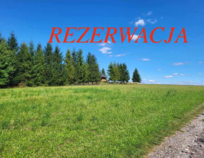 Rolny na sprzedaż, Krakowski Iwanowice Maszków, 700 000 zł, 11 200 m2, 53/5815/OGS