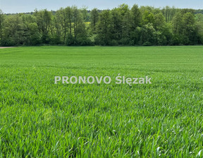 Budowlany na sprzedaż, Trzebnicki Oborniki Śląskie Borkowice, 120 000 zł, 3000 m2, PROD-GS-828