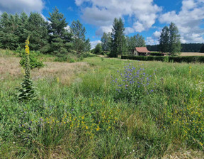 Działka na sprzedaż, Szczycieński (pow.) Jedwabno (gm.) Jedwabno, 60 000 zł, 1000 m2, 18198620